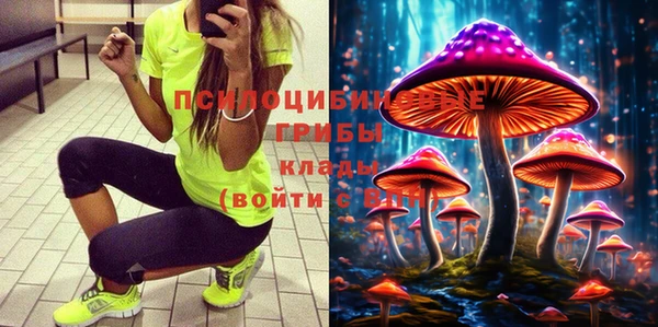 гидропоника Абинск