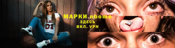 прущие грибы Абаза