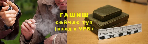 прущие грибы Абаза