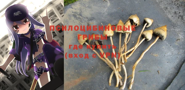 крисы Протвино