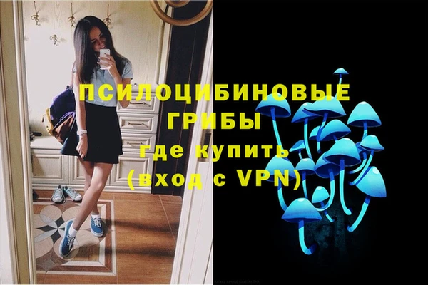 крисы Протвино