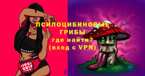 прущие грибы Абаза