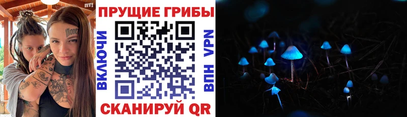 Галлюциногенные грибы прущие грибы  закладки  Карабаново 